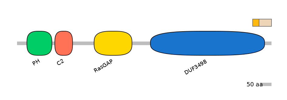 DreINT0054615-EXC