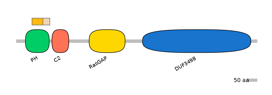 DreINT0054617-EXC