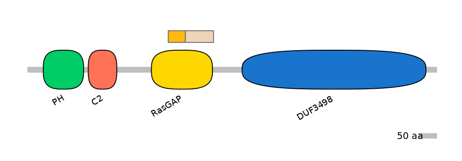 DreINT0054621-EXC