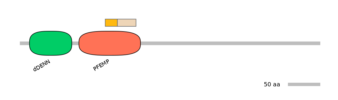 DreINT0056020-EXC