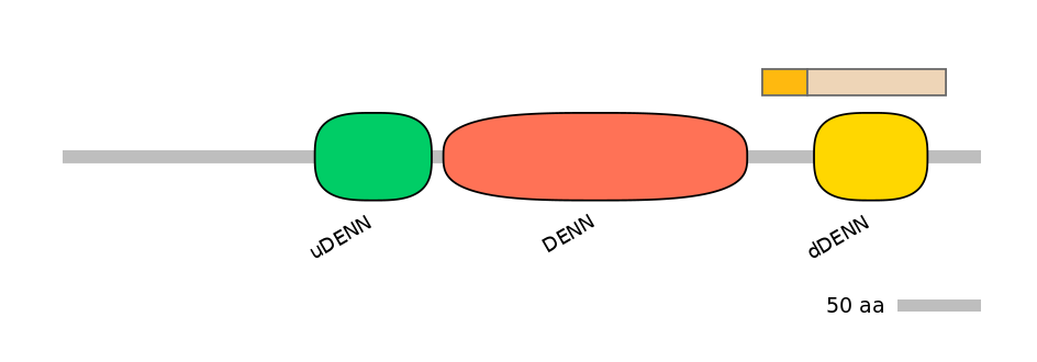 DreINT0056044-EXC