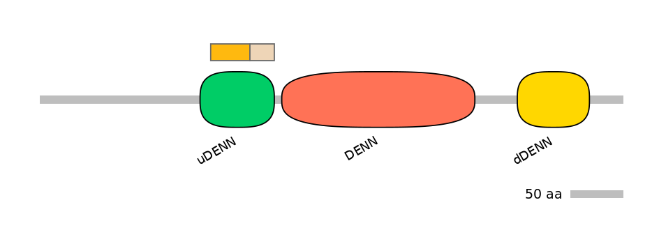 DreINT0056047-EXC