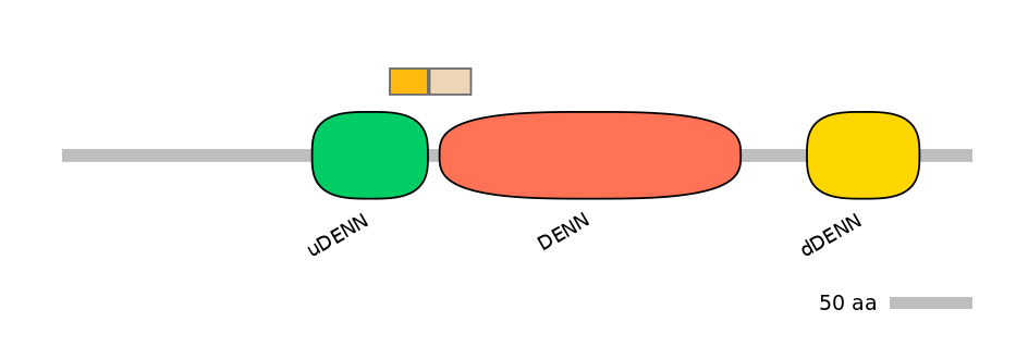DreINT0056048-EXC