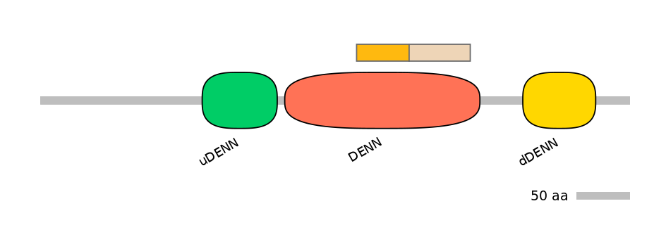 DreINT0056051-EXC