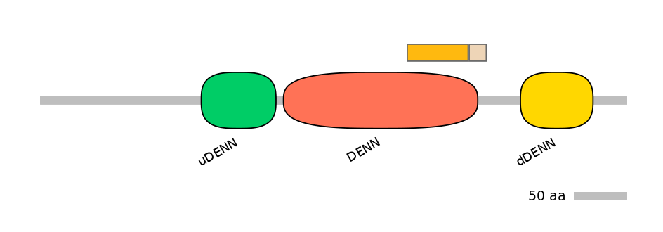 DreINT0056052-EXC