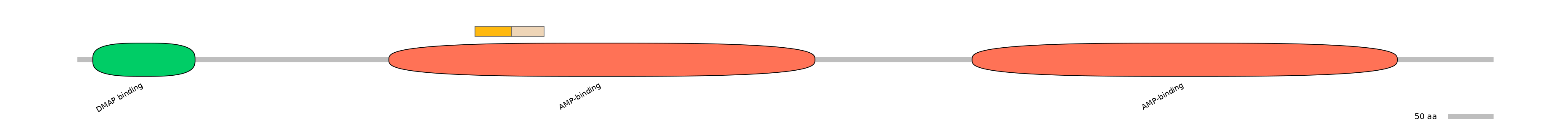 DreINT0057153-EXC
