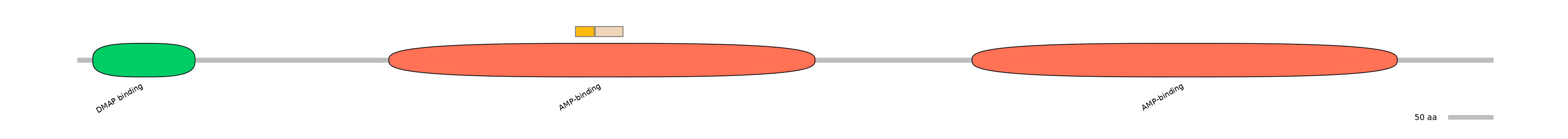DreINT0057156-EXC