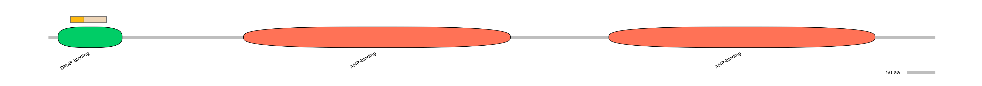 DreINT0057162-EXC