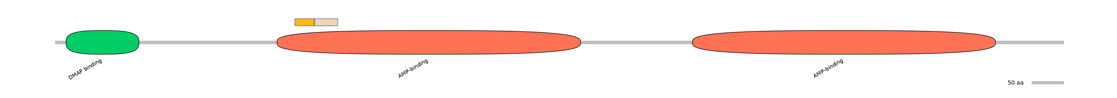 DreINT0057187-EXC