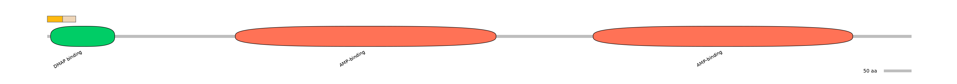 DreINT0057188-EXC