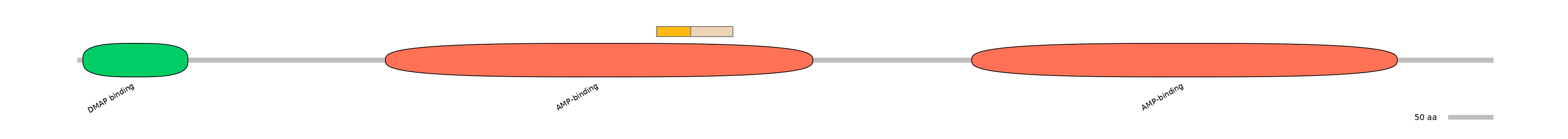 DreINT0057196-EXC