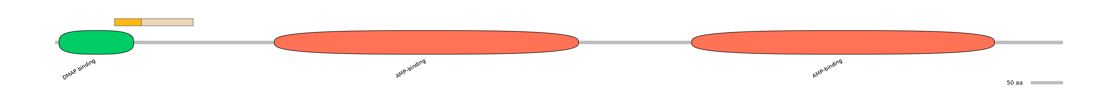 DreINT0057219-EXC