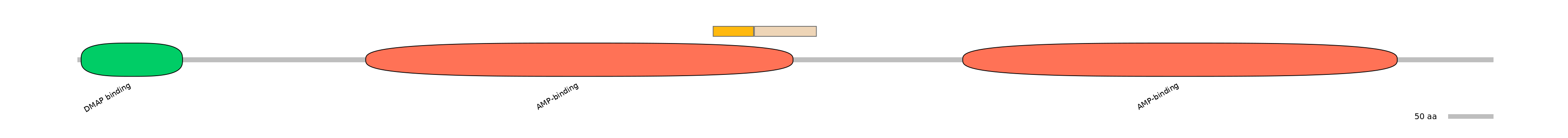 DreINT0057235-EXC