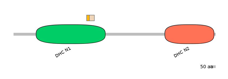 DreINT0058268-EXC