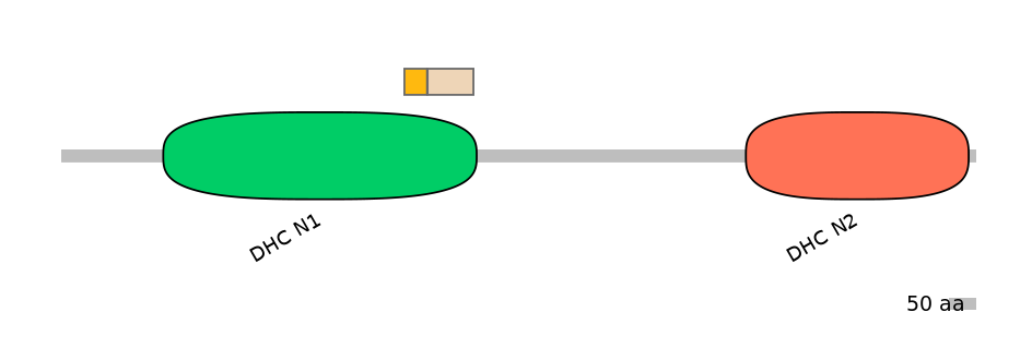DreINT0058269-EXC