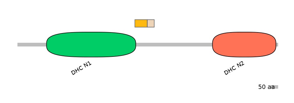 DreINT0058271-EXC
