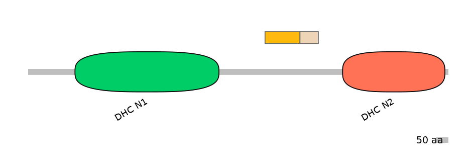 DreINT0058274-EXC
