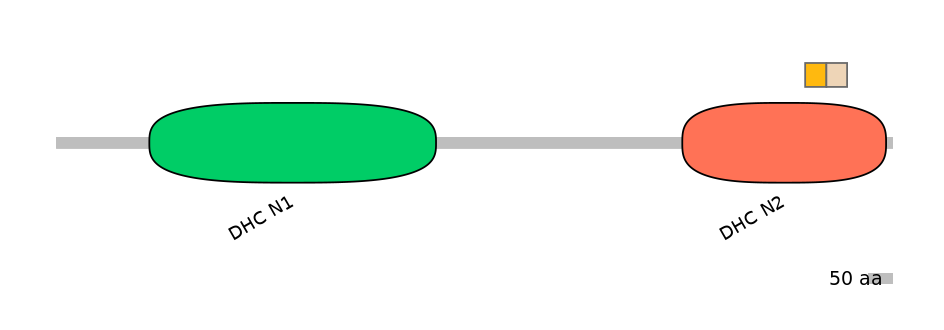 DreINT0058280-EXC