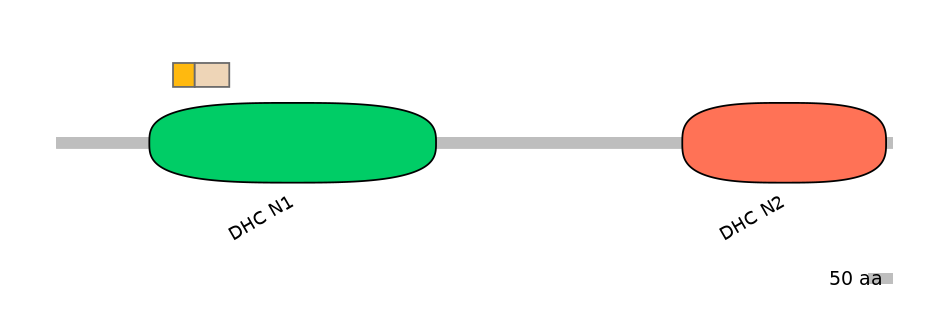 DreINT0058284-EXC
