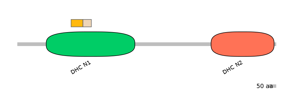 DreINT0058286-EXC