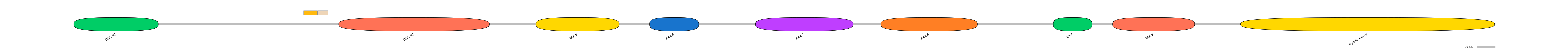 DreINT0058292-EXC