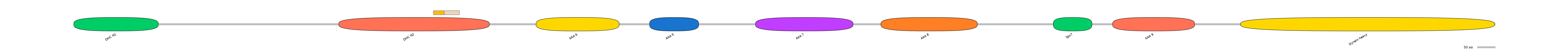 DreINT0058300-EXC
