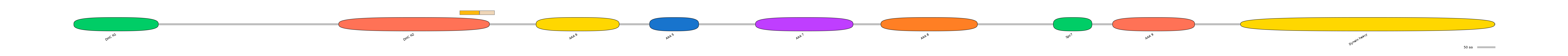 DreINT0058303-EXC