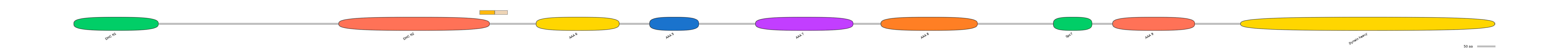 DreINT0058304-EXC