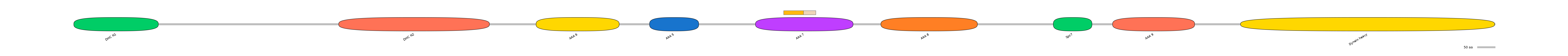 DreINT0058324-EXC