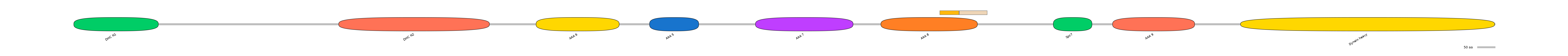 DreINT0058332-EXC