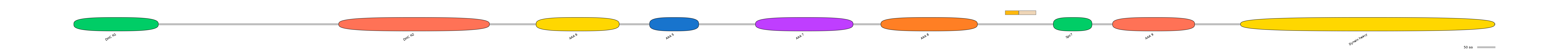 DreINT0058336-EXC
