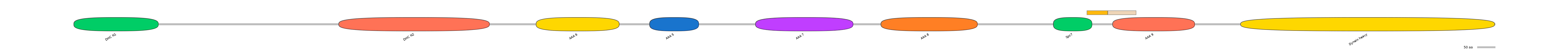 DreINT0058341-EXC