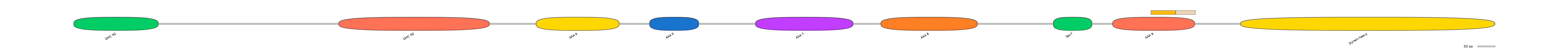 DreINT0058344-EXC