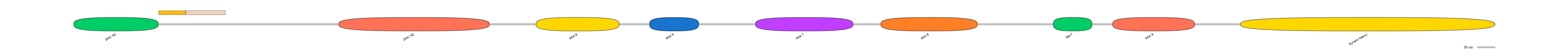 DreINT0058345-EXC