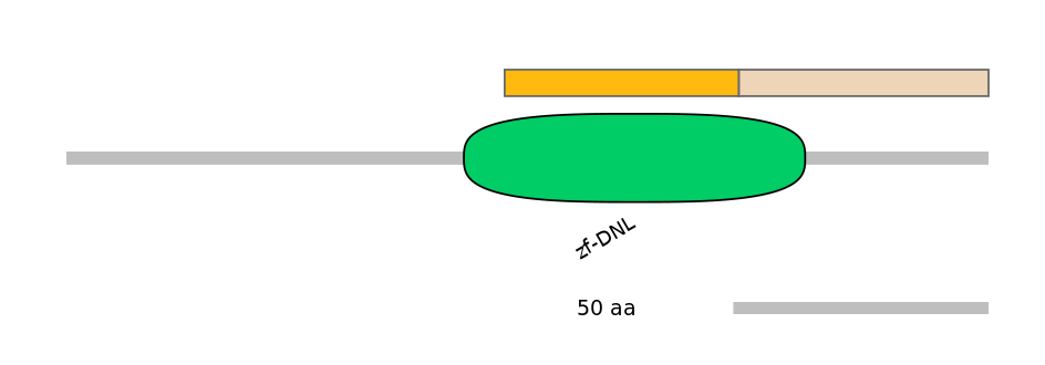DreINT0058761-EXC