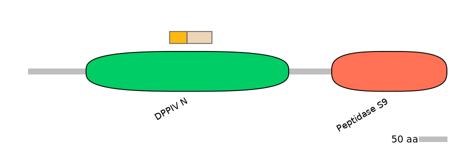 DreINT0059686-EXC