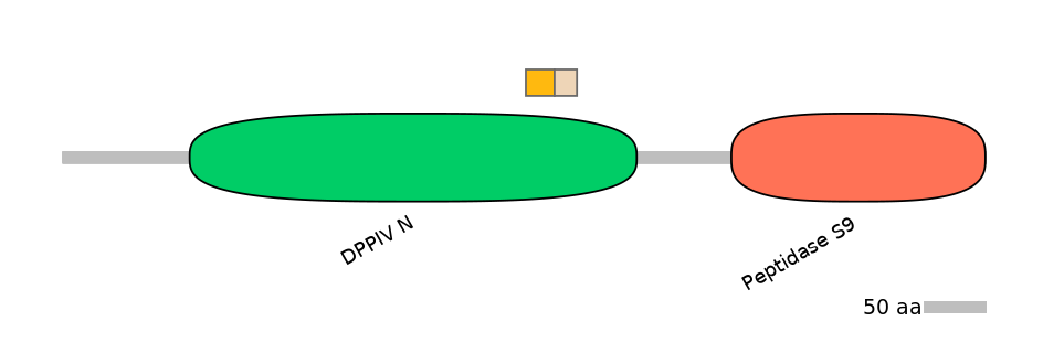 DreINT0059690-EXC