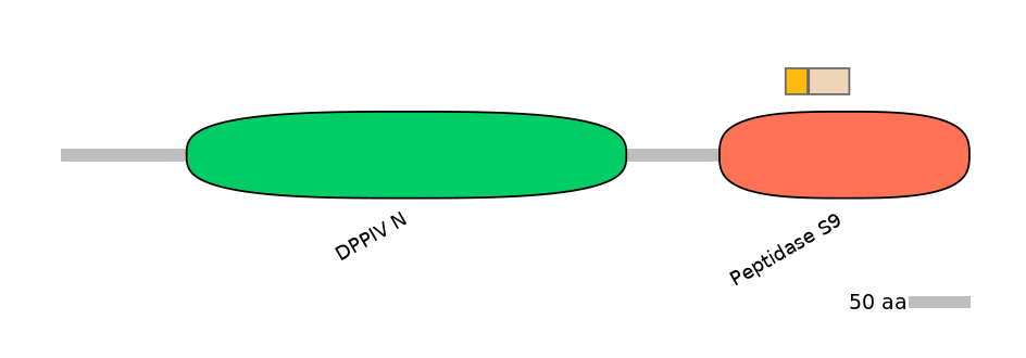 DreINT0059698-EXC