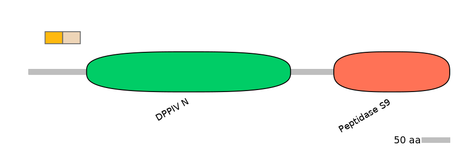 DreINT0059703-EXC
