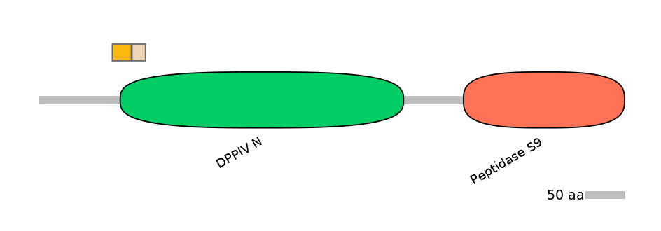 DreINT0059705-EXC
