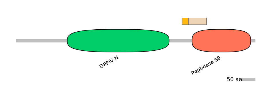 DreINT0059740-EXC