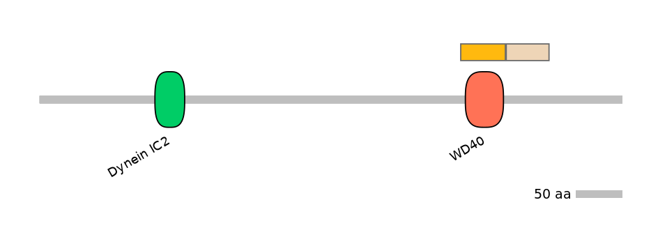 DreINT0060543-EXC