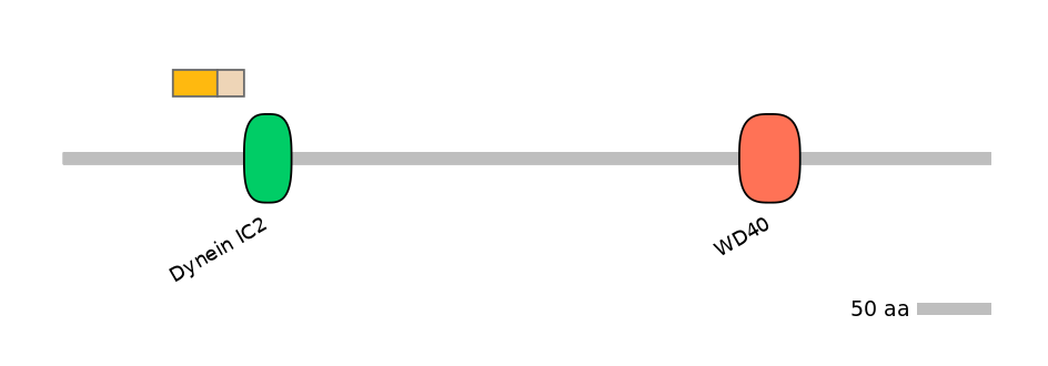 DreINT0060557-EXC