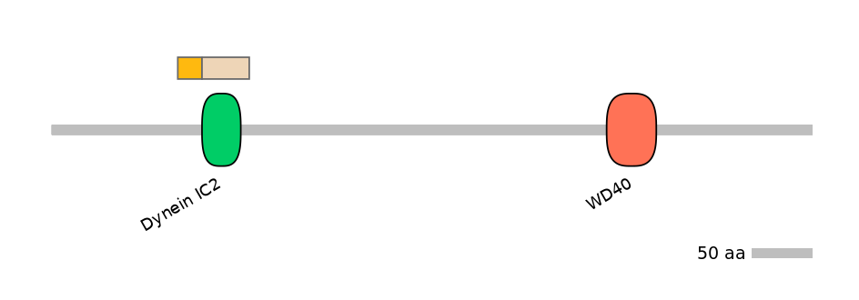 DreINT0060574-EXC