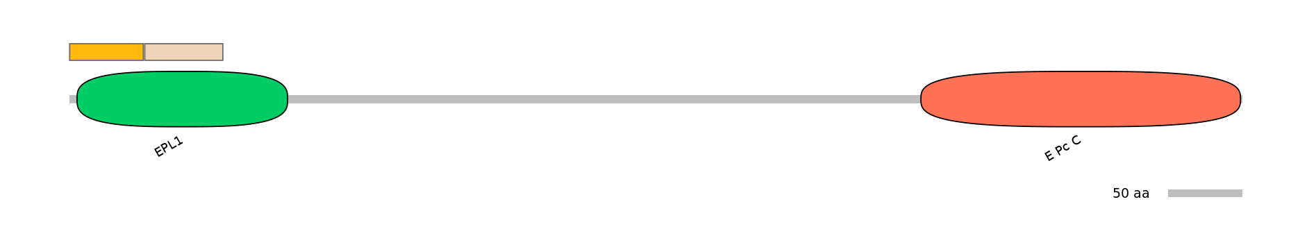 DreINT0063538-EXC