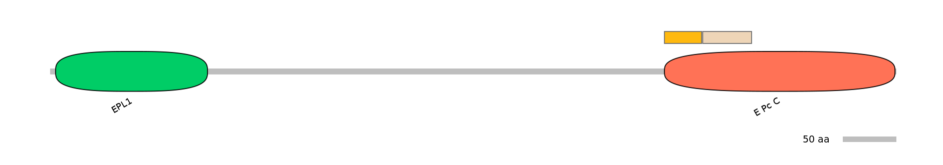 DreINT0063540-EXC