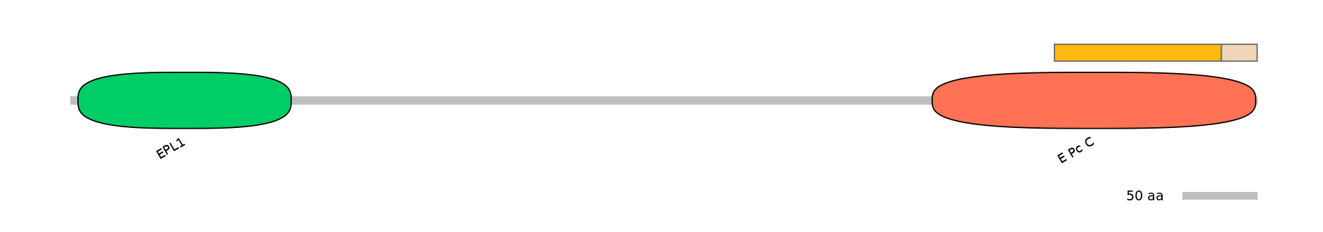 DreINT0063542-EXC
