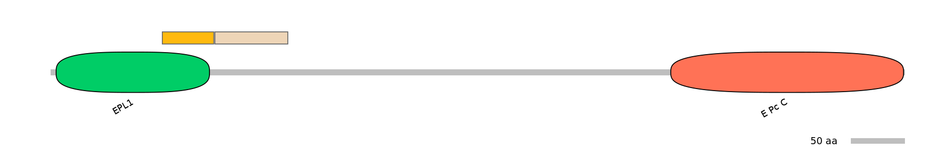 DreINT0063544-EXC