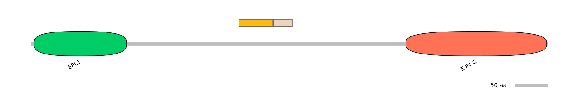 DreINT0063548-EXC