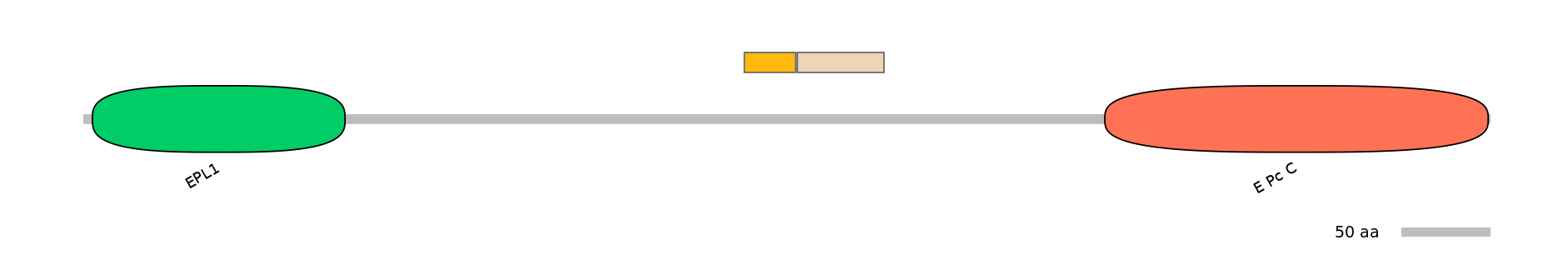 DreINT0063549-EXC